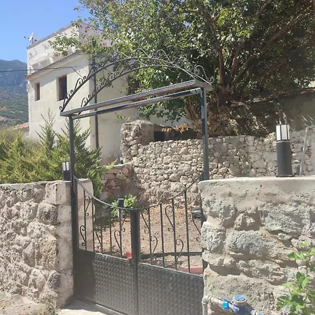 Begonvil Evleri Apartment