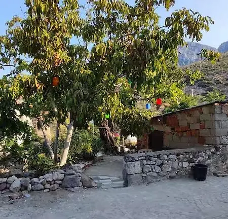 Apartment Begonvil Evleri *